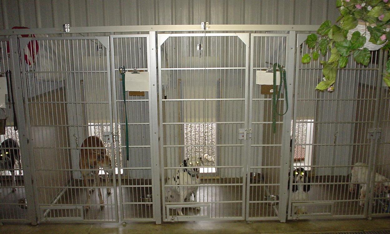 Dog shipping clearance kennels